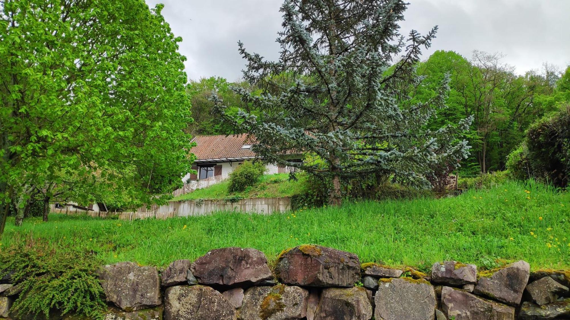 Villa Sous Le Tilleul Барр Экстерьер фото